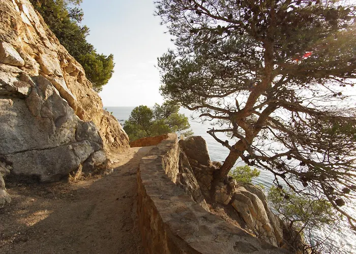 Apartamento Quiet In Fenals With Balcony, Pool And Workspace For Medium-term