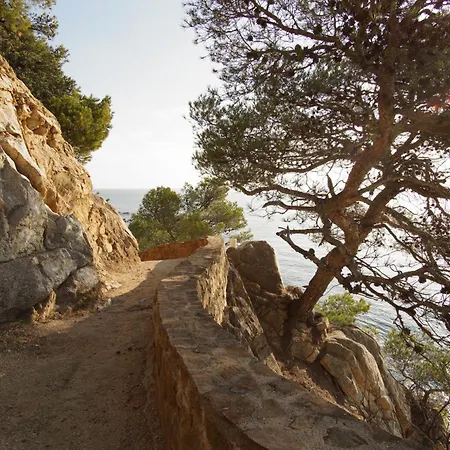 Διαμέρισμα Quiet In Fenals With Balcony, Pool And Workspace For Medium-term